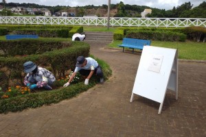 中央公園緑化ボランティア